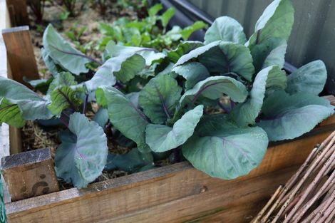 Photo of property in 17 Tuke Lane, Wanaka, 9305