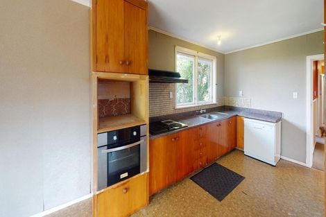 Photo of property in 81 Wyndham Street, Ashhurst, 4810