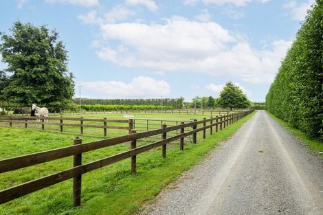 Photo of property in 36 Bell Road, Matawhero, Gisborne, 4071