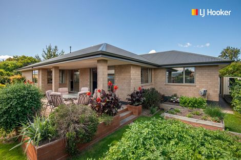 Photo of property in 17 Watt Street, Mosgiel, 9024