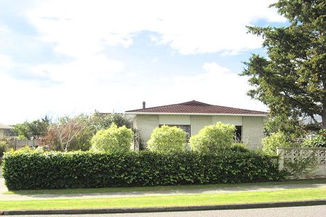 Photo of property in 26 Mclean Terrace, Waipukurau, 4200