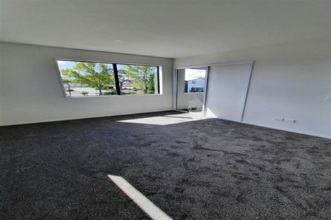 Photo of property in 118a Purchas Street, Edgeware, Christchurch, 8013