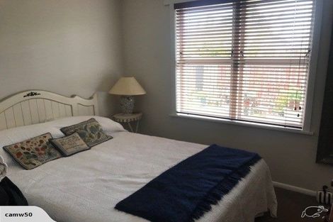 Photo of property in 24 Gillies Avenue, Claudelands, Hamilton, 3214