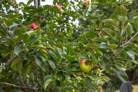 Photo of property in 2430 State Highway 2, Greytown, 5794