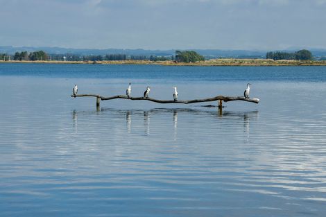 Photo of property in 519 Pukehina Parade, Pukehina, Te Puke, 3189