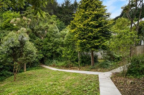 Photo of property in 60 Montague Street, North East Valley, Dunedin, 9010