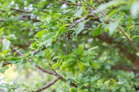 Photo of property in 64 Albatross Close, Whitby, Porirua, 5024