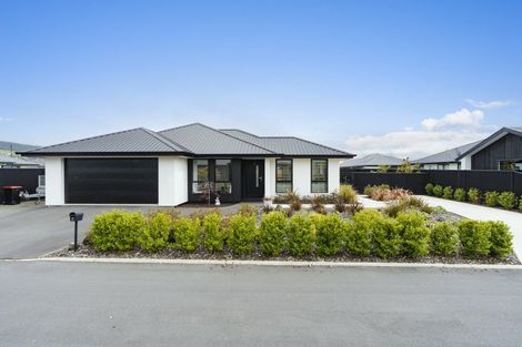 Photo of property in 6 Tuwhare Lane, Mosgiel, 9024