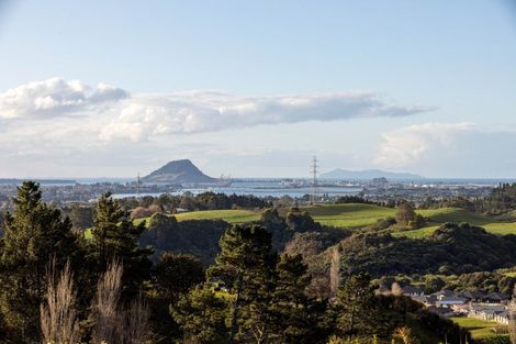 Photo of property in 393 Upper Ohauiti Road, Ohauiti, Tauranga, 3173