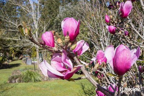 Photo of property in 30a Lawrence Road, Waihi, 3610