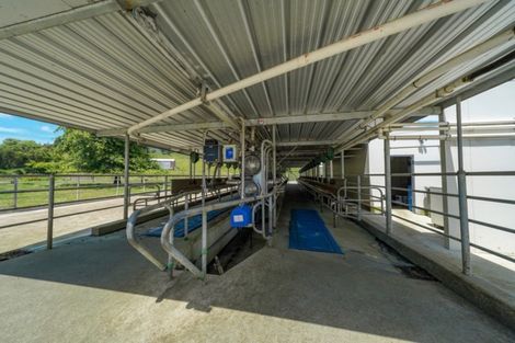 Photo of property in 57 Hall Road, Matua, Tauranga, 3110