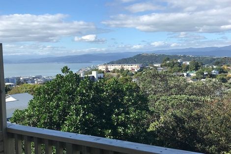 Photo of property in 25 Sugarloaf Road, Brooklyn, Wellington, 6021