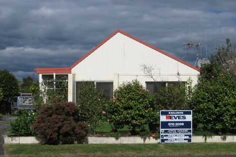 Photo of property in 39 Maihi Crescent, Maungatapu, Tauranga, 3112