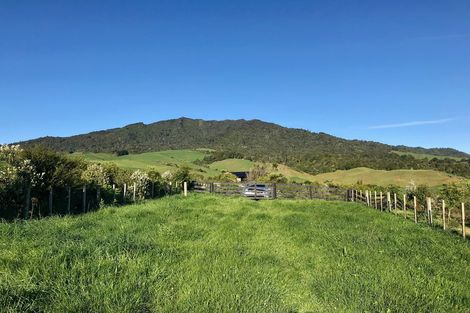 Photo of property in 669b Te Hutewai Road, Raglan, 3296