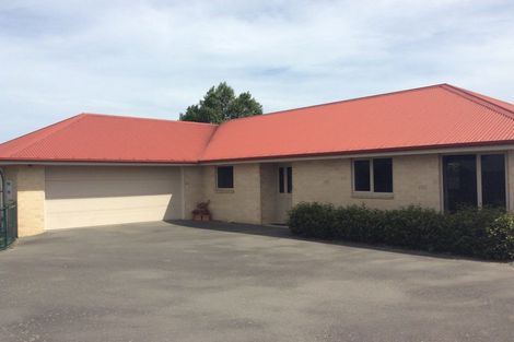 Photo of property in 6a Oxford Street, Hampstead, Ashburton, 7700