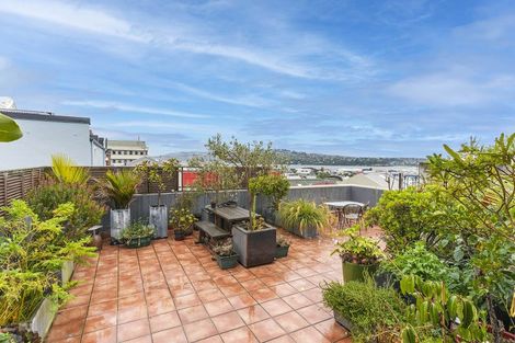 Photo of property in 65 Stafford Street, Dunedin Central, Dunedin, 9016