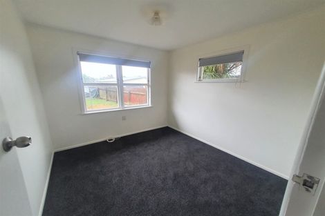 Photo of property in 112 Fitzroy Avenue, Fitzroy, Hamilton, 3206