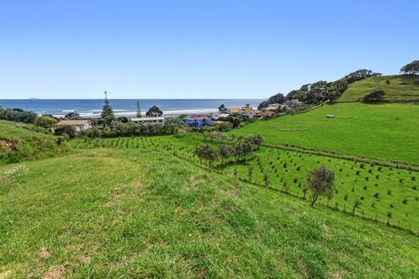 Photo of property in 59 Pohutukawa Drive, Waiotahe, Opotiki, 3198