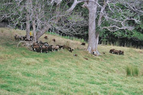 Photo of property in 76 Spindler Road, Wellsford, 0972