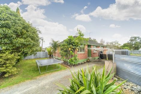 Photo of property in 115 Limbrick Street, Terrace End, Palmerston North, 4410