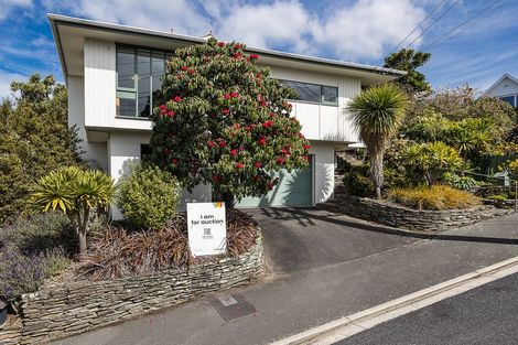 Photo of property in 26 Melrose Street, Roslyn, Dunedin, 9010