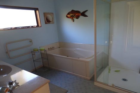 Photo of property in 4 Snow Place, Richmond, 7020