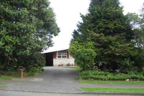 Photo of property in 29 Argyle Avenue, Levin, 5510