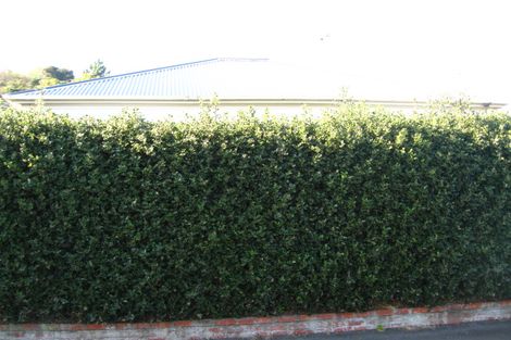 Photo of property in 22 Pentland Street, North East Valley, Dunedin, 9010