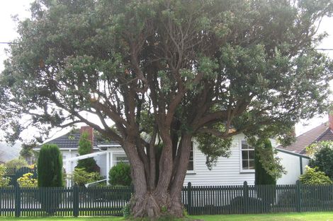 Photo of property in 49 Lincoln Avenue, Epuni, Lower Hutt, 5011