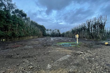 Photo of property in 168 Hamlin Road, Ardmore, Papakura, 2582