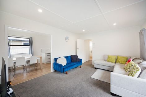 Photo of property in 18 Snowdon Avenue, Terrace End, Palmerston North, 4410