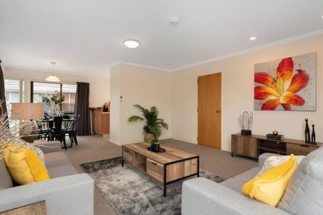 Photo of property in 1/2 Sunrise Avenue, Mount Maunganui, 3116