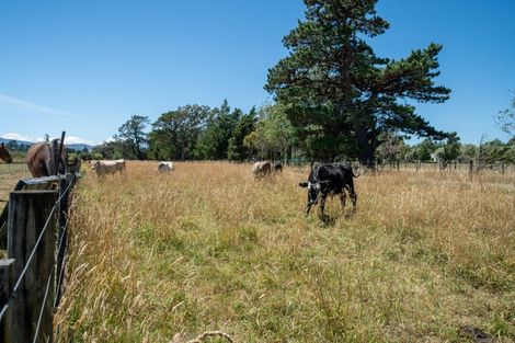 Photo of property in 69 Longwood Road, South Featherston, Featherston, 5771