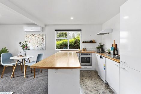 Photo of property in 179a Hanson Street, Newtown, Wellington, 6021