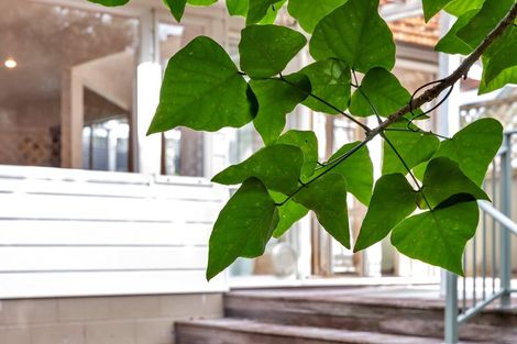 Photo of property in 17d Bernard Street, Avenues, Whangarei, 0110