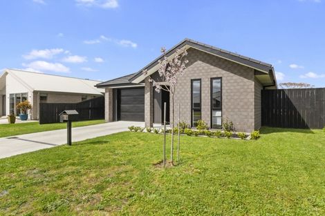 Photo of property in 11 Eastbank Drive, Katikati, 3129