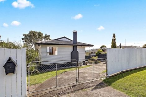 Photo of property in 17 Brunner Road, Glen Eden, Auckland, 0602