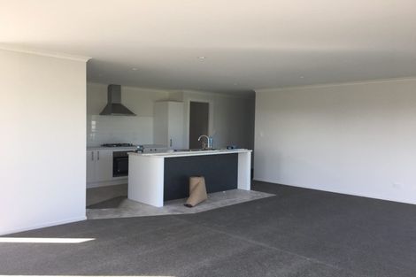 Photo of property in 217 Borman Road, Rototuna North, Hamilton, 3210