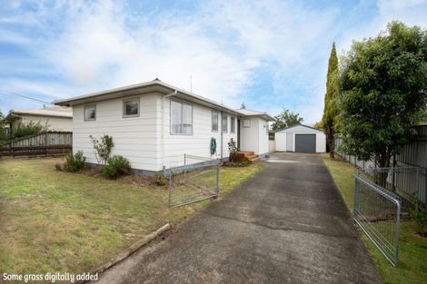 Photo of property in 108 Winchester Street, Ashhurst, 4810