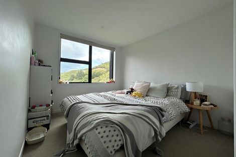 Photo of property in 41 Rua Kai Way, Brooklyn, Wellington, 6021