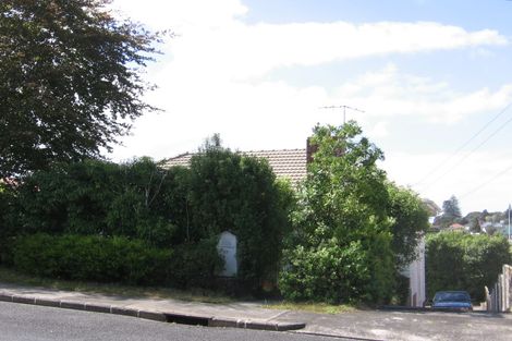 Photo of property in 19 Littlejohn Street, Hillsborough, Auckland, 1042