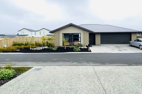 Photo of property in 22 Feltham Street, Richmond, 7020