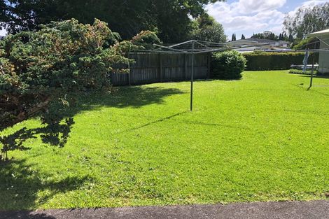 Photo of property in 52 Buscomb Avenue, Henderson, Auckland, 0610