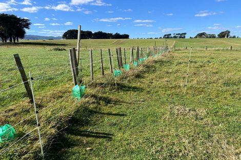 Photo of property in 141 Valley Road, Woodville, 4998