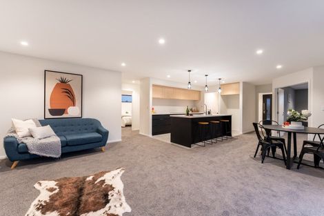 Photo of property in 31 Franks Place, Outram, 9019