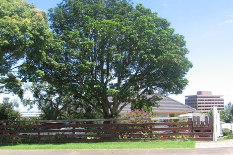 Photo of property in 32 Portman Road, Mount Wellington, Auckland, 1060