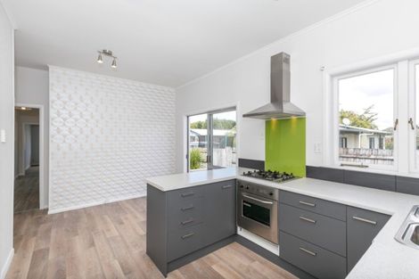 Photo of property in 19 Rata Street, Maeroa, Hamilton, 3200