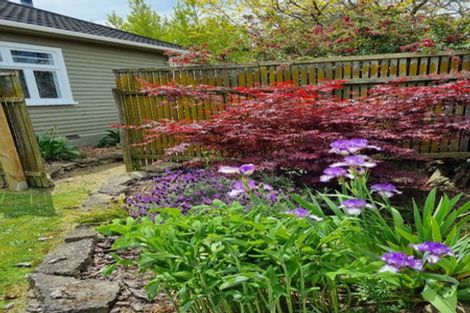 Photo of property in 43 York Street, Levin, 5510