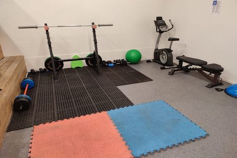 Photo of property in Dakota Buildings, 2d/5 Cheshire Street, Parnell, Auckland, 1052