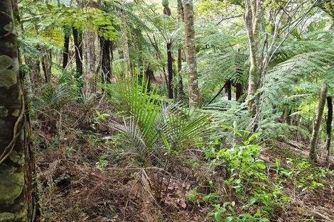 Photo of property in 92 Pinchgut Road, Kaukapakapa, 0873